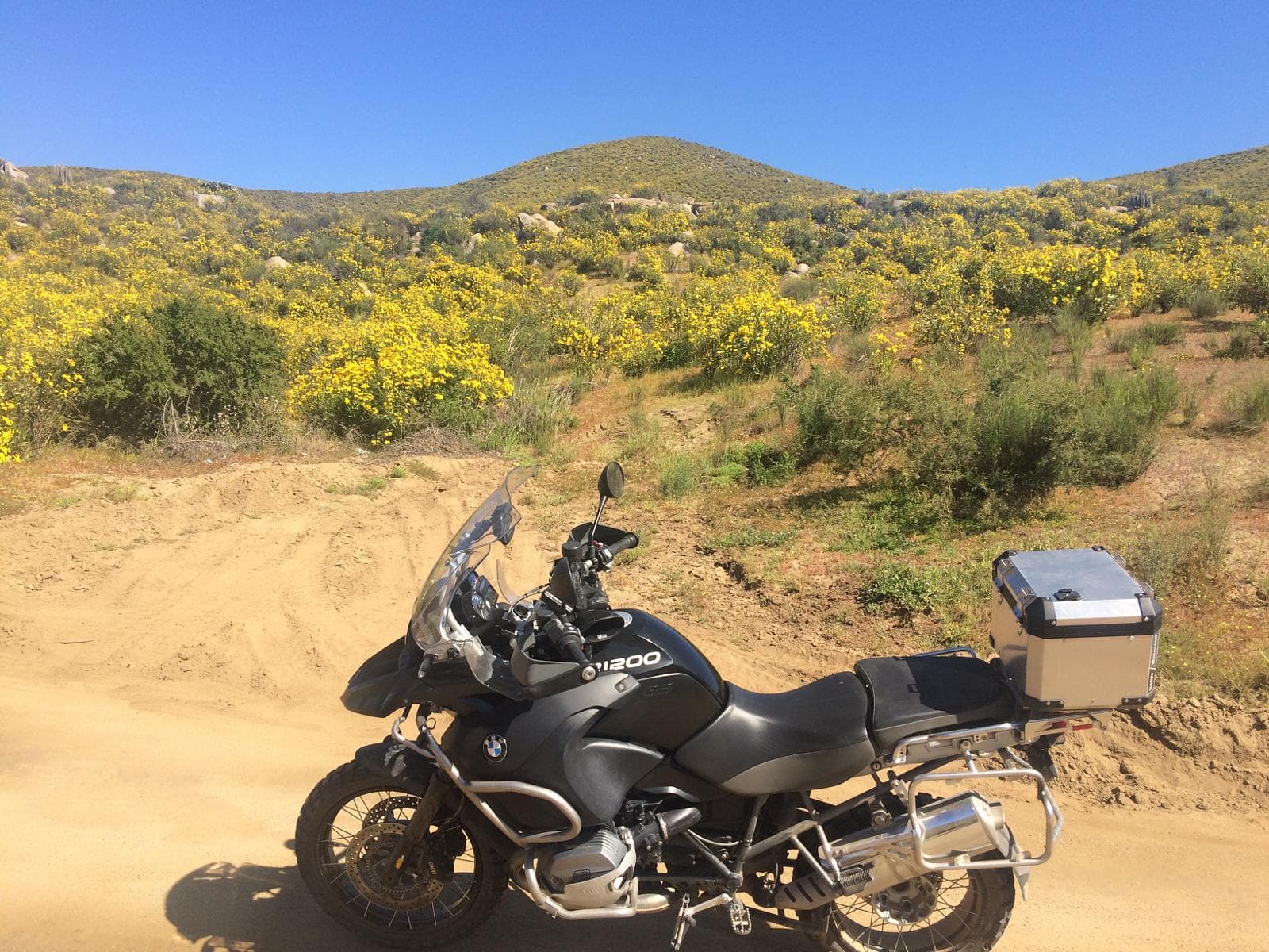 Valle del Elqui - Valle del Elqui - Viñedos y astronomía en norte chico